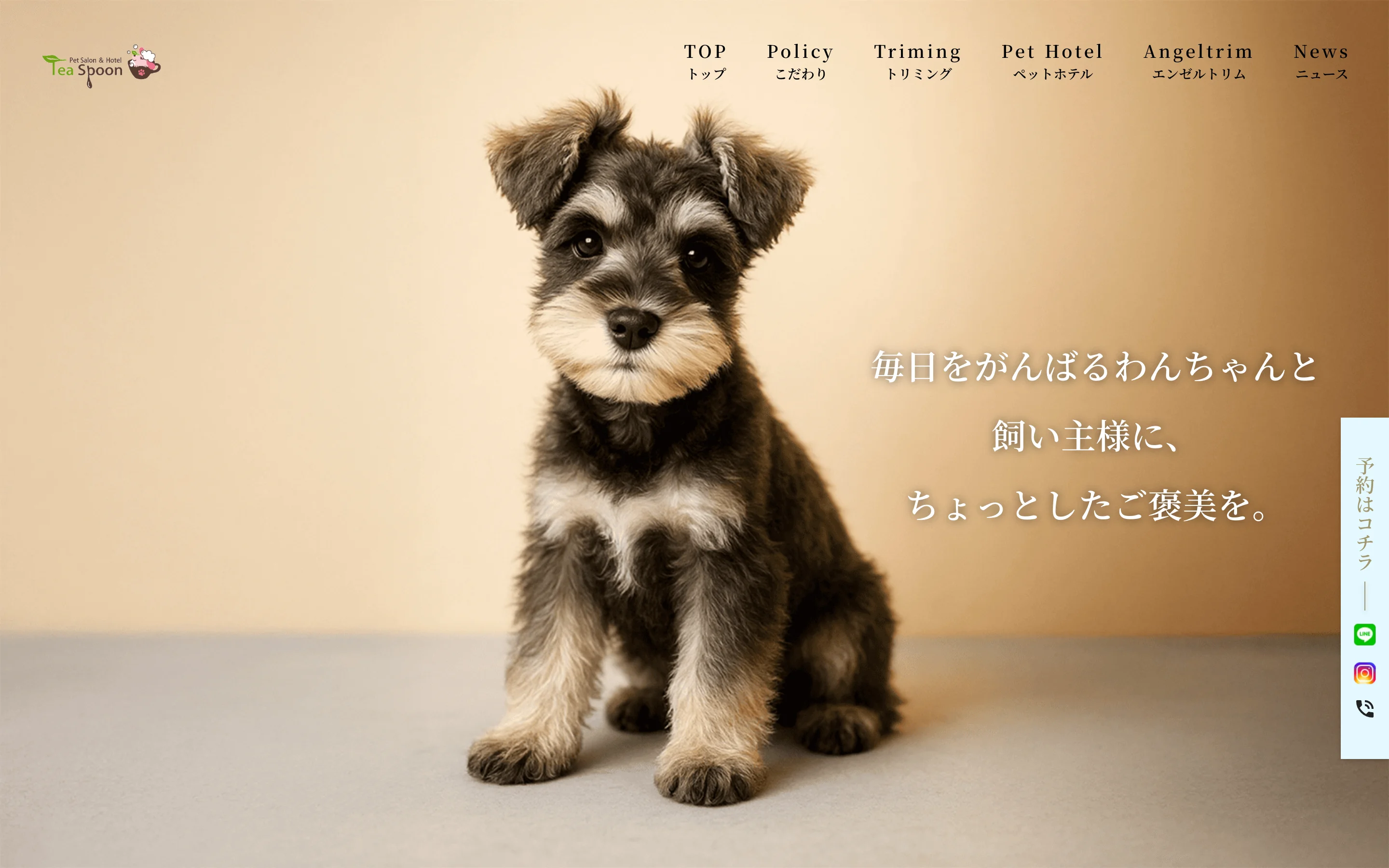 引用：PetSalon&Hotel Tea spoon 公式サイト PC表示より